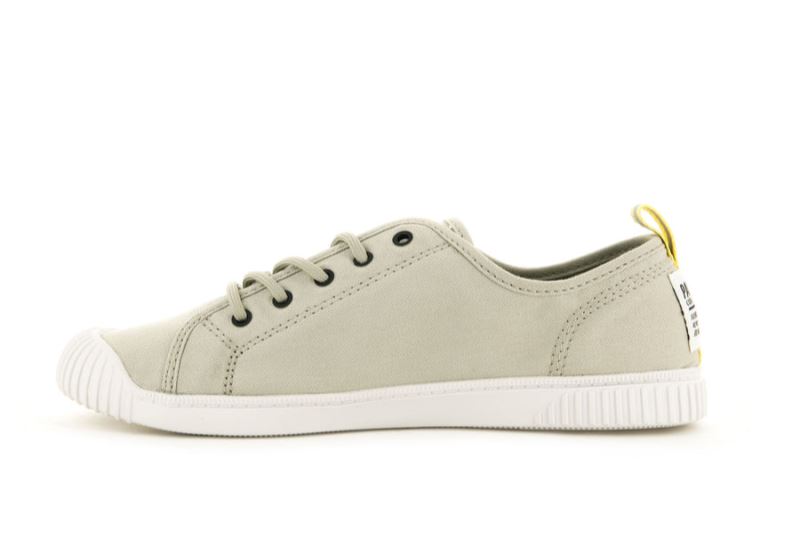 Palladium Niske Easy Lace Canvas Patike Ženske Svijetlo Smeđe | FUS0V1dt