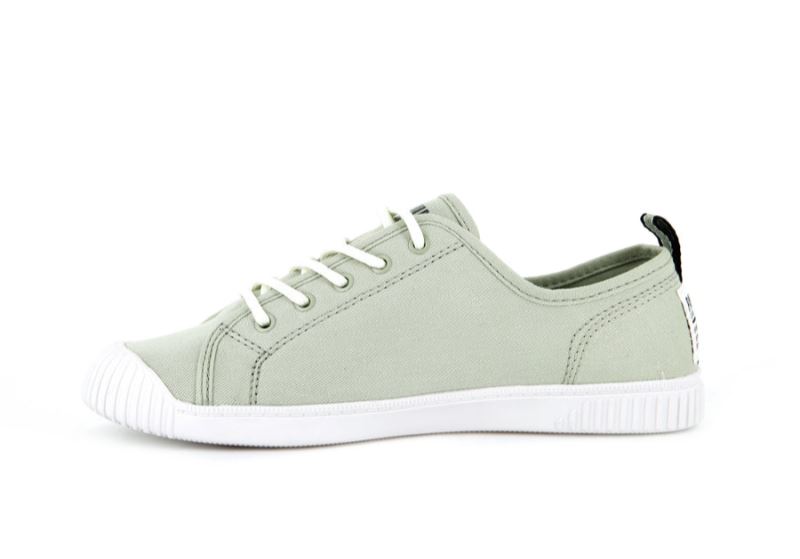 Palladium Niske Easy Lace Canvas Patike Ženske Smeđe | vWscoAVZ